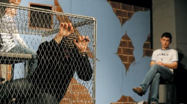 scenariul unei evadari reusite