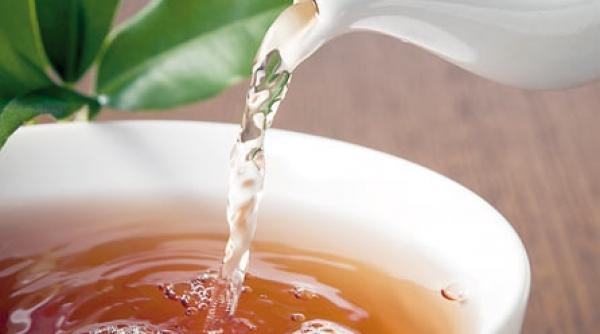 infuzii contra durerilor reumatismale