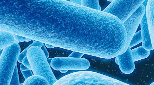 terapie cu nanoparticule contra cancerului