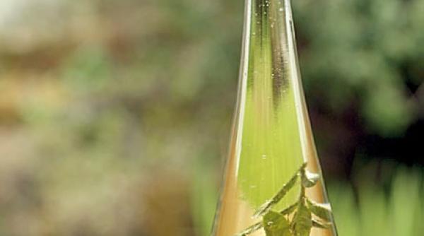 verbina inamicul durerilor menstruale