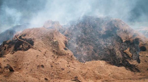 fratia gaterelor otraveste romania