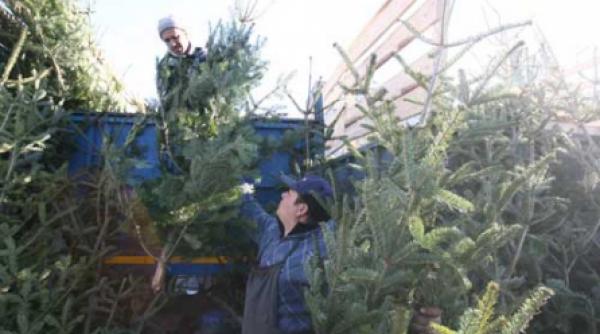 bani mai putini pentru sarbatori