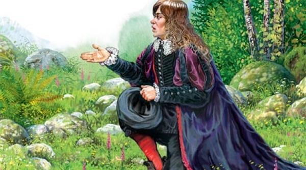 wilhelm hauff inima de piatra