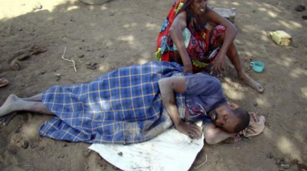 epidemie de holera in kenya 4 700 de bolnavi 119 decese