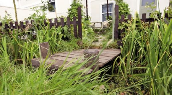 probleme din gradina dumneavoastra si solutii gasite de specialisti