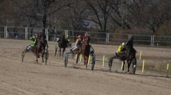 curse de trap in ploiesti