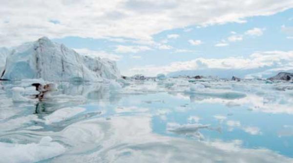 miza de la copenhaga