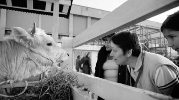 123 de rase pe cale de disparitie