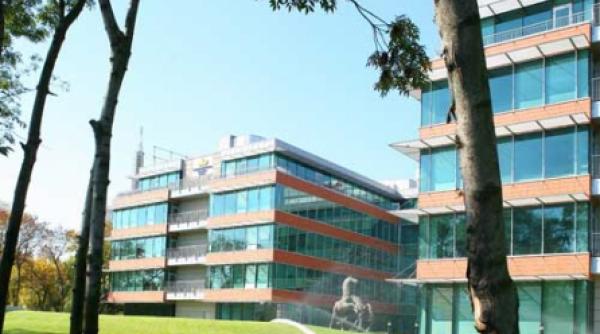 birouri goale in inima bucurestiului