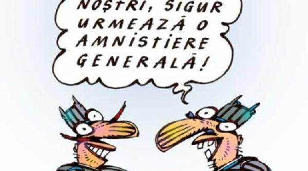 felicitari monica ridzi ai invins