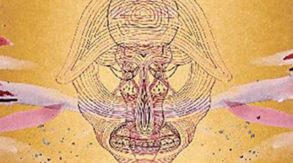 discuri pentru player