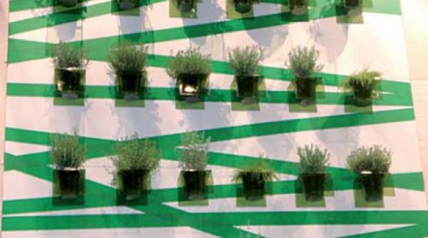 decoratiuni de impact cu caracter permanent