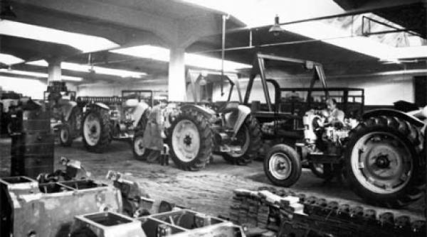 hollywood dambovitean