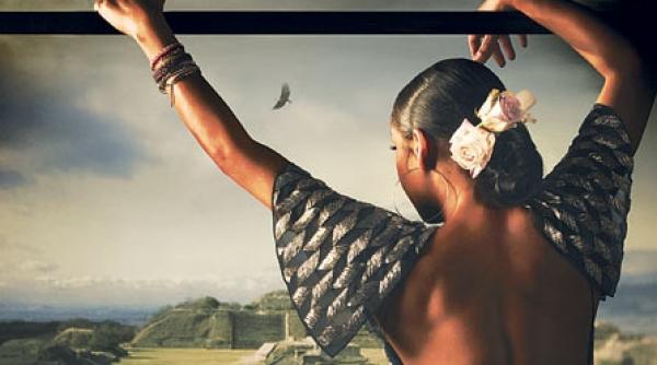 sade lanseaza soldier of love