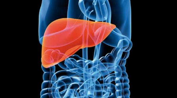 zapacitule de ficat gras