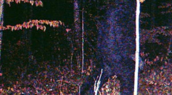 bigfoot vizita in minnesota