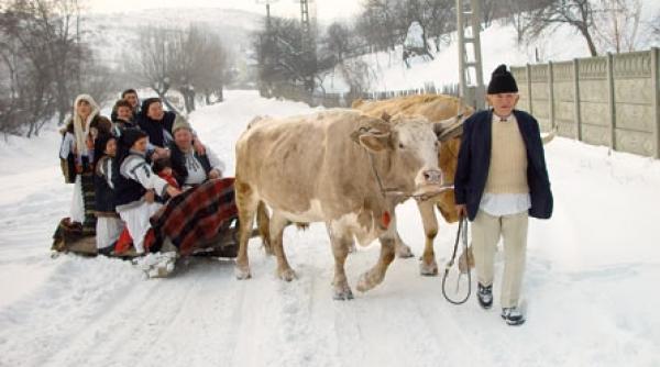 un taram de poveste ampoita