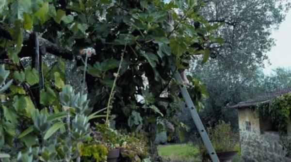 alchimistul j me poveste de succes