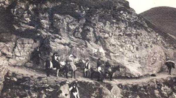 discretul gradinar al regelui carol i