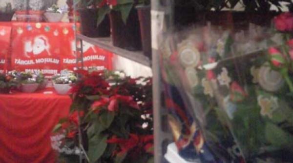 impresii de la atelierul mosului