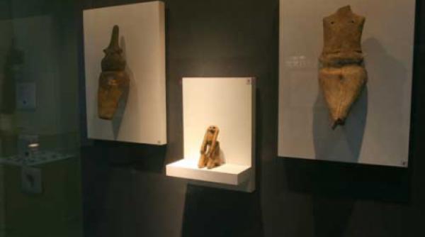 cultura cucuteni cucereste america