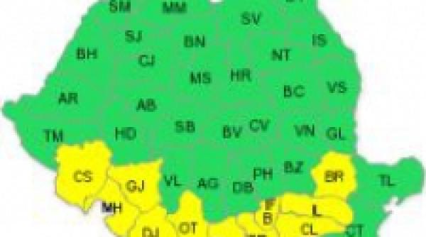 cod galben de ninsori pentru sudul tarii