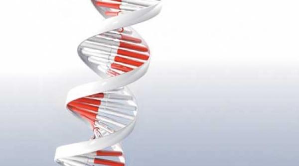 nanoparticule si modificari genetice