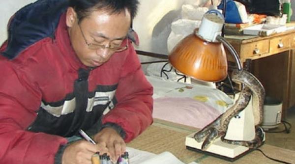 salvati din flacari de un sarpe