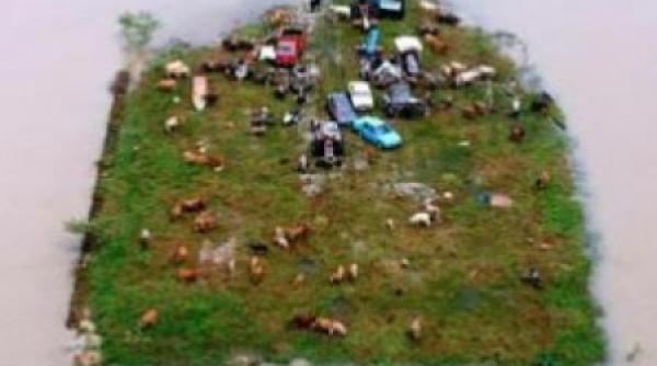 dezastrele anului 2009