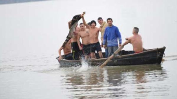 boboteaza pe bac cu intreceri de cai