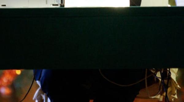 deratizare marca emil boc