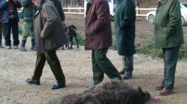 ion tiriac organizeaza o noua vanatoare la balc