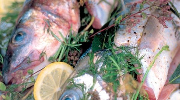 nu ai cum sa dai gres cu pestele