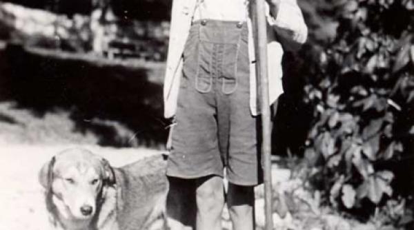 in calea codrului sta basmul padurii