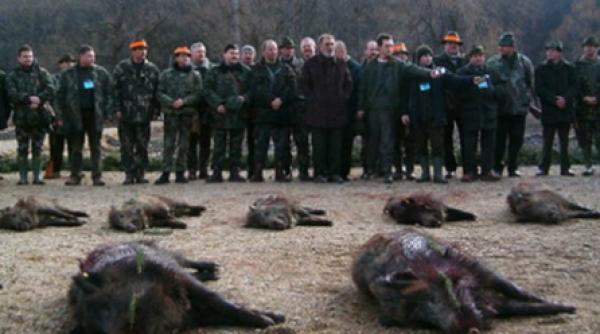 invitatii lui tiriac au impuscat 130 de mistreti