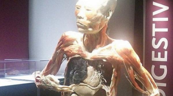 cadavrele plastifiate ale unor detinuti chinezi expuse in marea britanie