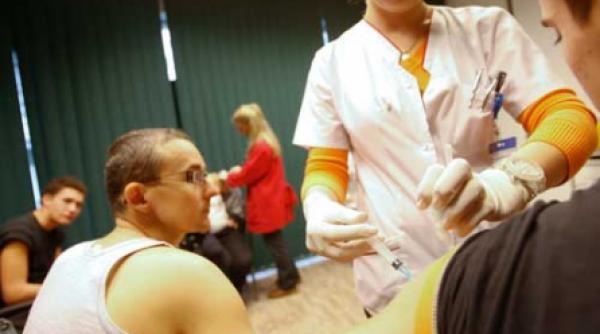 afaceri cu isteria gripei porcine