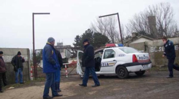 cai de rasa infometati