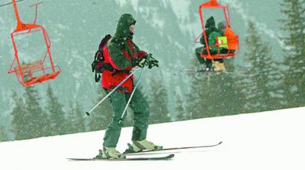 inca o palma de zapada