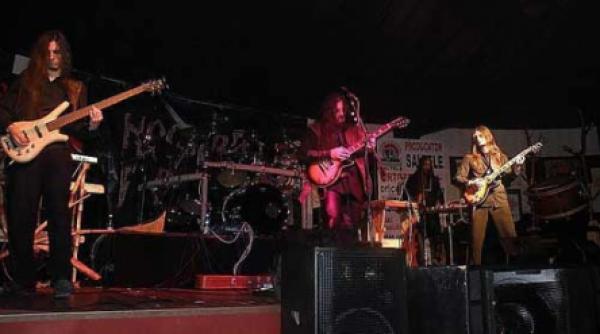 concerte in weekend si nu numai