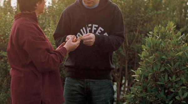 bucatarii unui club sportiv noii aliati ai lui jamie