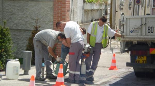 munca si consumul in exces idei depasite in 2010