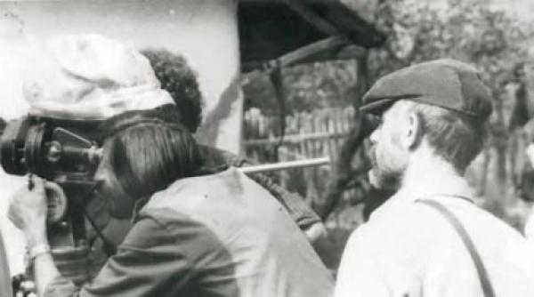 fara cimitirul de animale