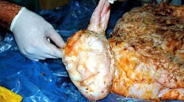 un miel cu chip uman socheaza o comunitate turca