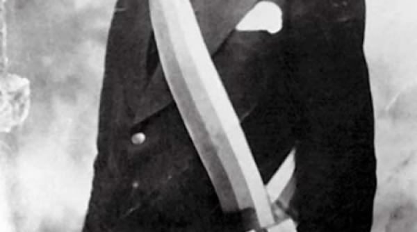 visele aveau mai mult de doua aripi