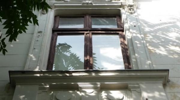 senatorul pd l se retrage