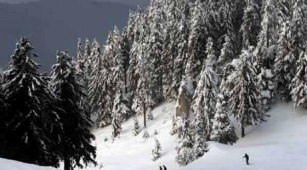 prima zi de schi in postavaru