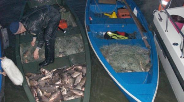 braconierii in actiune