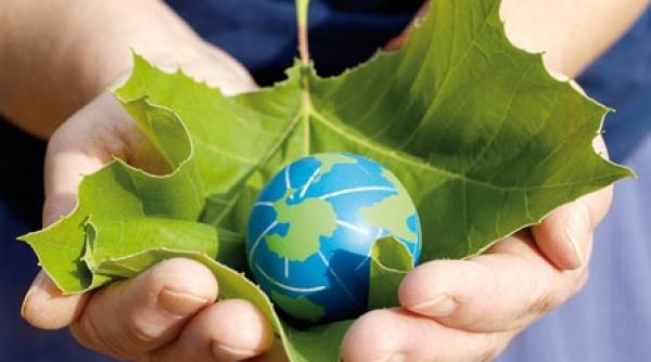 fiti inteligenti si ecologici