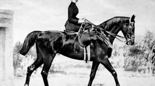 aristocratie si recunostinta